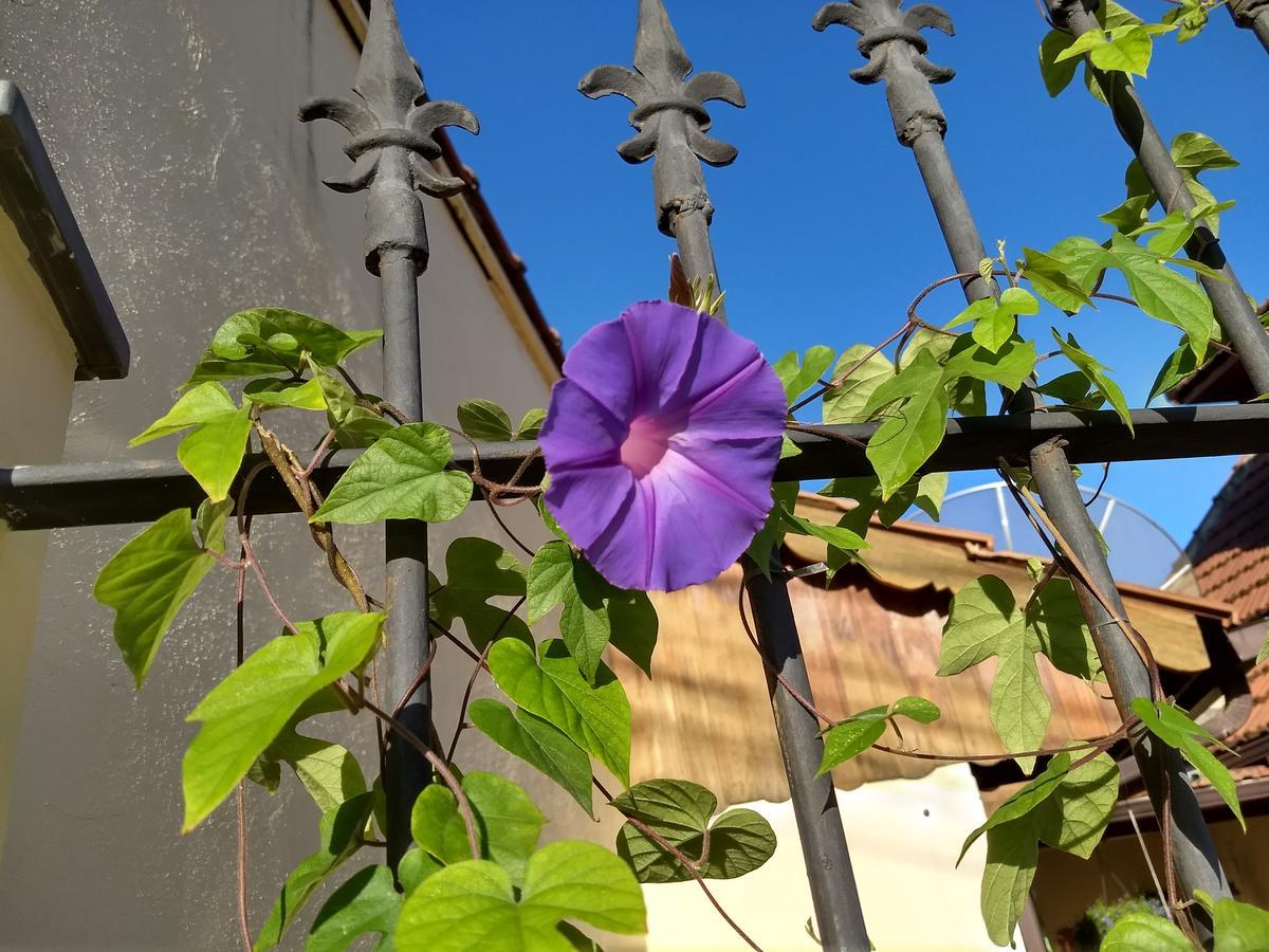 Pousada Castelinho Maricá Exteriör bild